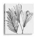 Silueta Floral Ii - Melissa Wang | Cuadro decorativo de Canvas Lab