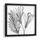 Silueta Floral Ii - Melissa Wang | Cuadro decorativo de Canvas Lab