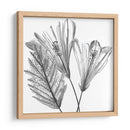 Silueta Floral Ii - Melissa Wang | Cuadro decorativo de Canvas Lab