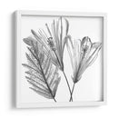 Silueta Floral Ii - Melissa Wang | Cuadro decorativo de Canvas Lab