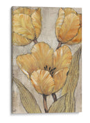 Tulipanes Ocres Y Grises Ii - Tim OToole | Cuadro decorativo de Canvas Lab