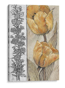 Tulipanes Ocres Y Grises Iv - Tim OToole | Cuadro decorativo de Canvas Lab