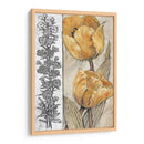 Tulipanes Ocres Y Grises Iv - Tim OToole | Cuadro decorativo de Canvas Lab
