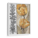 Tulipanes Ocres Y Grises Iv - Tim OToole | Cuadro decorativo de Canvas Lab