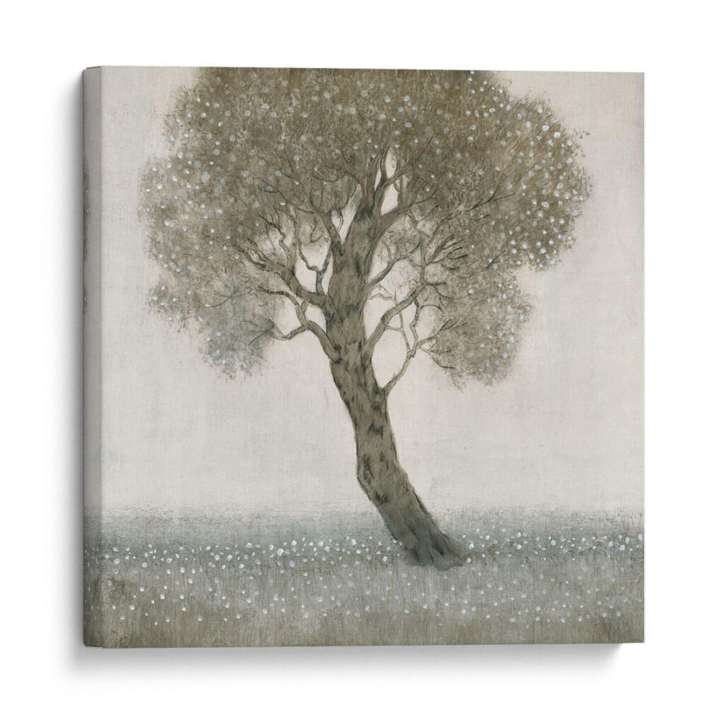 Árbol De Flor Blanco - Tim OToole | Cuadro decorativo de Canvas Lab