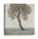 Árbol De Flor Blanco - Tim OToole | Cuadro decorativo de Canvas Lab