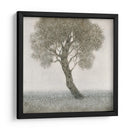 Árbol De Flor Blanco - Tim OToole | Cuadro decorativo de Canvas Lab