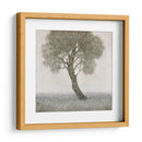 Árbol De Flor Blanco - Tim OToole | Cuadro decorativo de Canvas Lab