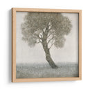 Árbol De Flor Blanco - Tim OToole | Cuadro decorativo de Canvas Lab