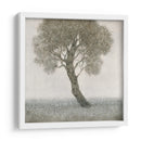 Árbol De Flor Blanco - Tim OToole | Cuadro decorativo de Canvas Lab
