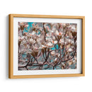 Dogwood Spring I - Sharon Chandler | Cuadro decorativo de Canvas Lab