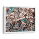 Dogwood Spring I - Sharon Chandler | Cuadro decorativo de Canvas Lab