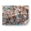 Dogwood Spring I - Sharon Chandler | Cuadro decorativo de Canvas Lab