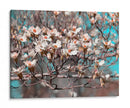 Dogwood Spring Ii - Sharon Chandler | Cuadro decorativo de Canvas Lab