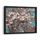 Dogwood Spring Ii - Sharon Chandler | Cuadro decorativo de Canvas Lab