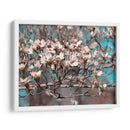 Dogwood Spring Ii - Sharon Chandler | Cuadro decorativo de Canvas Lab