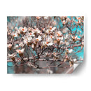 Dogwood Spring Ii - Sharon Chandler | Cuadro decorativo de Canvas Lab