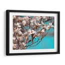 Dogwood Spring Iii - Sharon Chandler | Cuadro decorativo de Canvas Lab