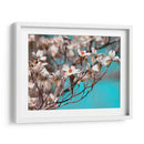 Dogwood Spring Iii - Sharon Chandler | Cuadro decorativo de Canvas Lab