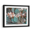 Dogwood Spring Iv - Sharon Chandler | Cuadro decorativo de Canvas Lab