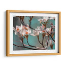 Dogwood Spring Iv - Sharon Chandler | Cuadro decorativo de Canvas Lab