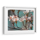 Dogwood Spring Iv - Sharon Chandler | Cuadro decorativo de Canvas Lab