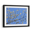 Pétalos Y Cielo I - Sharon Chandler | Cuadro decorativo de Canvas Lab