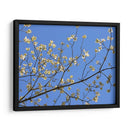 Pétalos Y Cielo I - Sharon Chandler | Cuadro decorativo de Canvas Lab