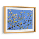 Pétalos Y Cielo I - Sharon Chandler | Cuadro decorativo de Canvas Lab