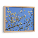 Pétalos Y Cielo I - Sharon Chandler | Cuadro decorativo de Canvas Lab