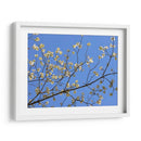 Pétalos Y Cielo I - Sharon Chandler | Cuadro decorativo de Canvas Lab