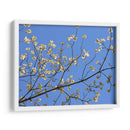 Pétalos Y Cielo I - Sharon Chandler | Cuadro decorativo de Canvas Lab