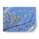 Pétalos Y Cielo I - Sharon Chandler | Cuadro decorativo de Canvas Lab