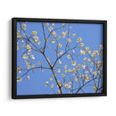 Pétalos Y Cielo Ii - Sharon Chandler | Cuadro decorativo de Canvas Lab