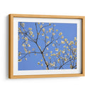 Pétalos Y Cielo Ii - Sharon Chandler | Cuadro decorativo de Canvas Lab