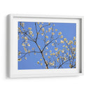 Pétalos Y Cielo Ii - Sharon Chandler | Cuadro decorativo de Canvas Lab