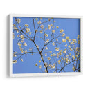 Pétalos Y Cielo Ii - Sharon Chandler | Cuadro decorativo de Canvas Lab