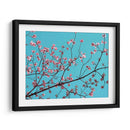 Pétalos Y Cielo Iii - Sharon Chandler | Cuadro decorativo de Canvas Lab