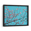 Pétalos Y Cielo Iii - Sharon Chandler | Cuadro decorativo de Canvas Lab