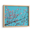 Pétalos Y Cielo Iii - Sharon Chandler | Cuadro decorativo de Canvas Lab