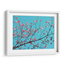 Pétalos Y Cielo Iii - Sharon Chandler | Cuadro decorativo de Canvas Lab