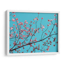 Pétalos Y Cielo Iii - Sharon Chandler | Cuadro decorativo de Canvas Lab