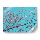 Pétalos Y Cielo Iii - Sharon Chandler | Cuadro decorativo de Canvas Lab