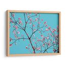 Pétalos Y Cielo Iv - Sharon Chandler | Cuadro decorativo de Canvas Lab