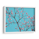 Pétalos Y Cielo Iv - Sharon Chandler | Cuadro decorativo de Canvas Lab