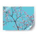 Pétalos Y Cielo Iv - Sharon Chandler | Cuadro decorativo de Canvas Lab