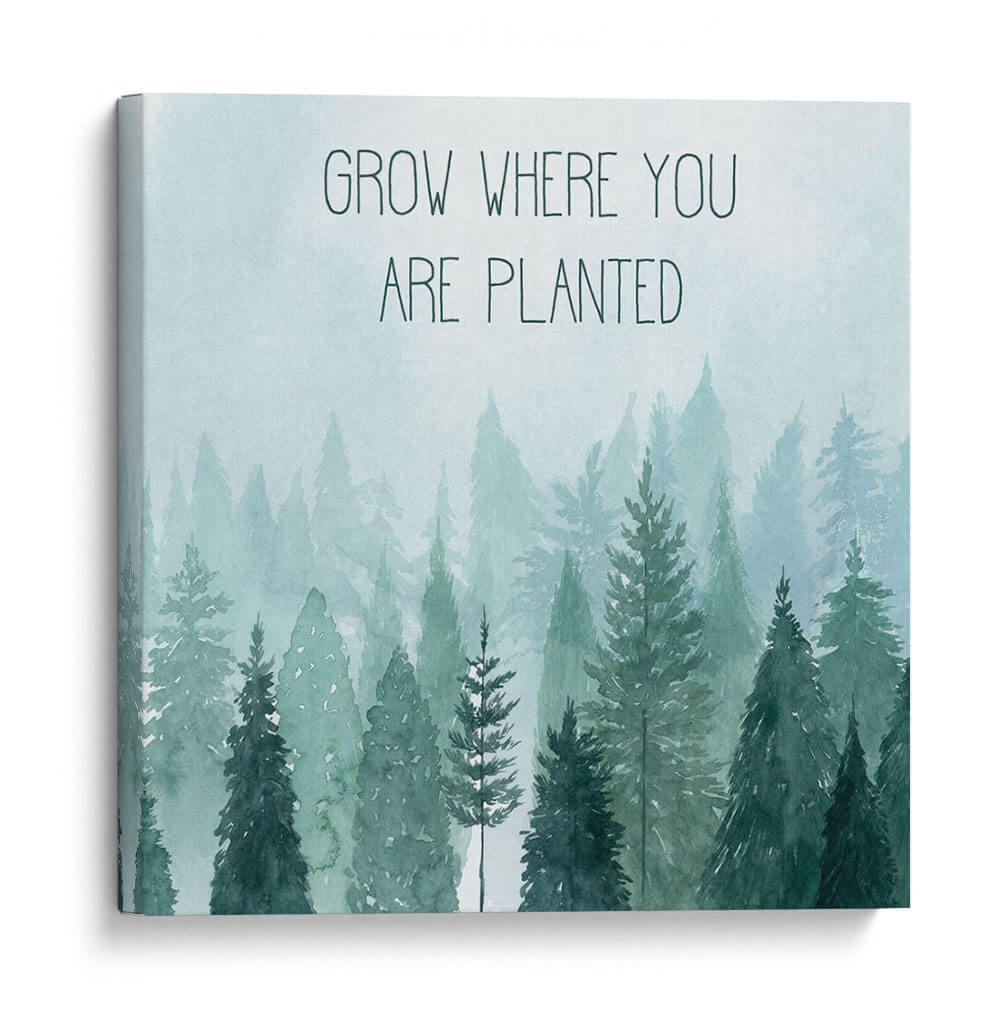 Little Grower Ii - Grace Popp | Cuadro decorativo de Canvas Lab