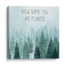 Little Grower Ii - Grace Popp | Cuadro decorativo de Canvas Lab