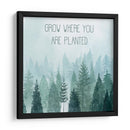 Little Grower Ii - Grace Popp | Cuadro decorativo de Canvas Lab