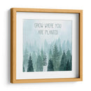 Little Grower Ii - Grace Popp | Cuadro decorativo de Canvas Lab